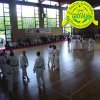 festaprimav2012_9